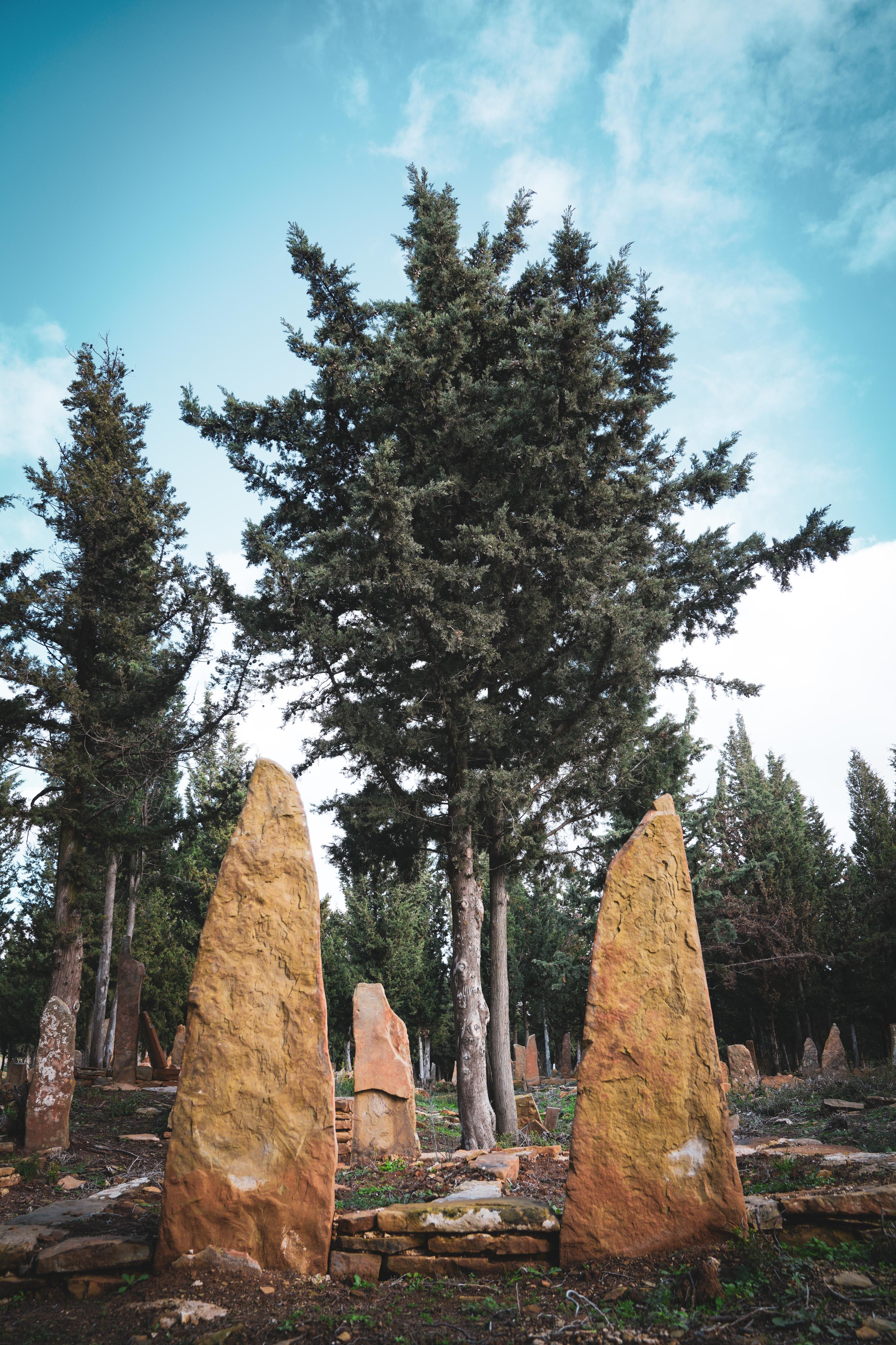 RUMELİYE AÇILAN KAPIDA TÜRK TARİHİNİ AYDINLATAN KEŞİF